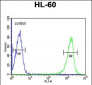 PSME1 Antibody (C-term)